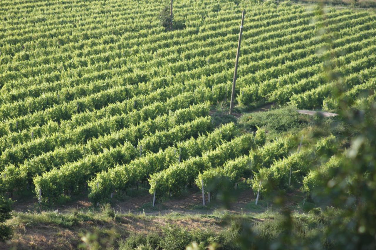Apartmani Dienes Novi Vinodolski Esterno foto