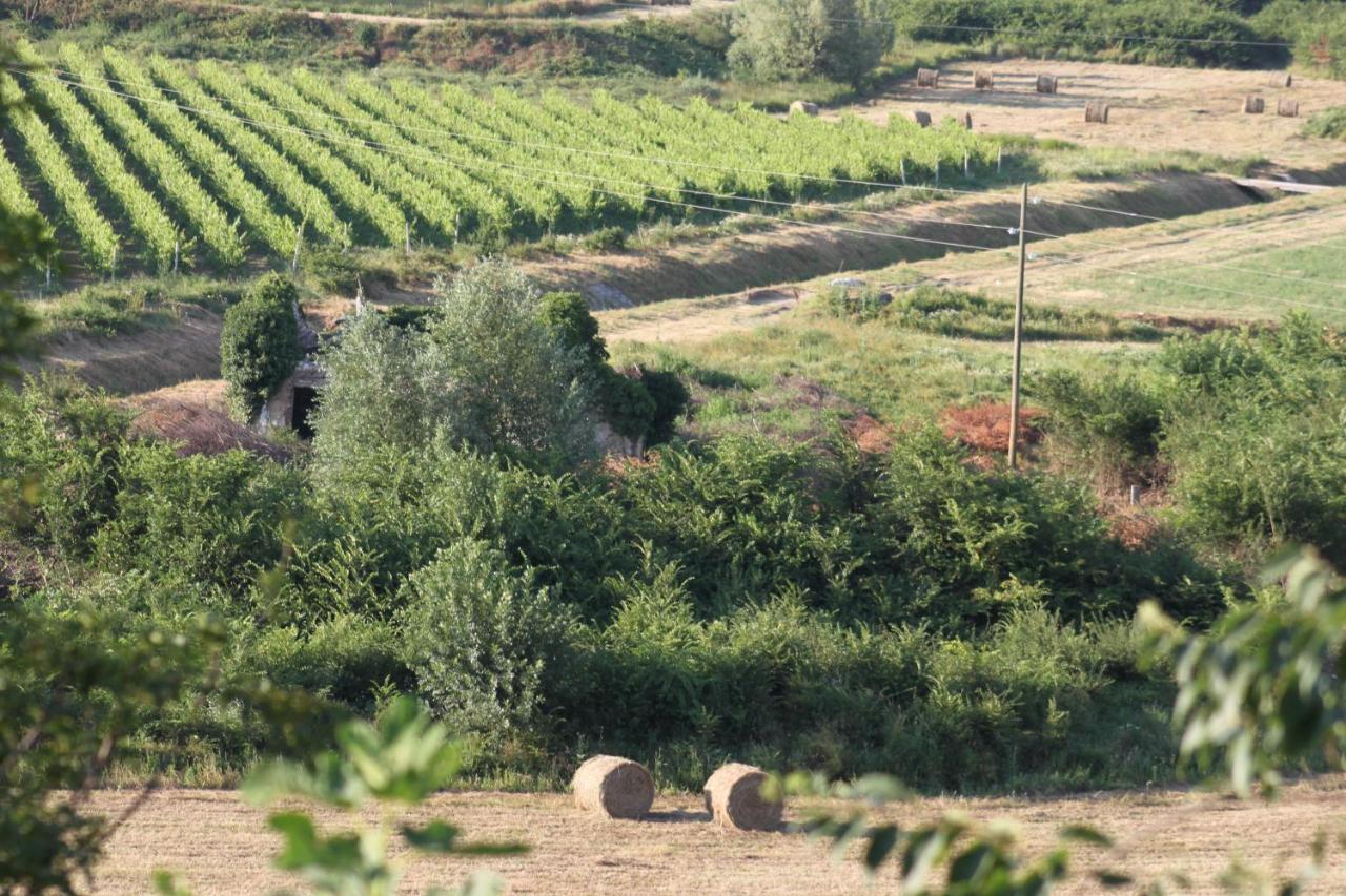 Apartmani Dienes Novi Vinodolski Esterno foto